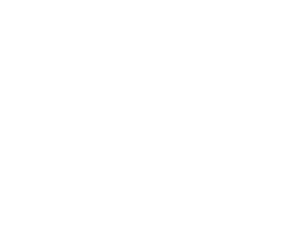 Les pros de la toiture